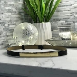 Express skinny gold plate belt